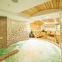 Hotel Muresul Health Spa