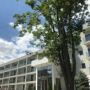 Hotel Rhodos